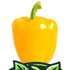Yellow Capsicum